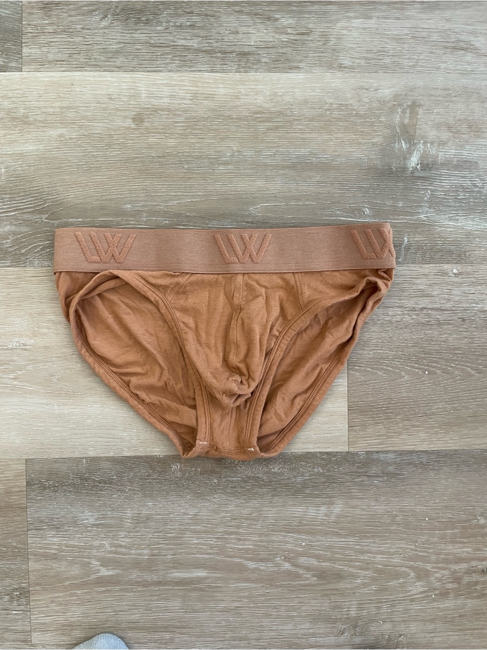LVW briefs